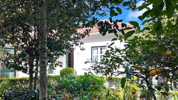 A garden with various plants and trees, a building with a red roof, and a clear blue sky. - Villa Inn Sintra | Private Garden Retreat (Sintra)