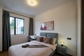 1 slaapkamer, een bureau, een strijkplank/strijkijzer, wifi