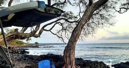 Amazing Maui Paradise Holiday