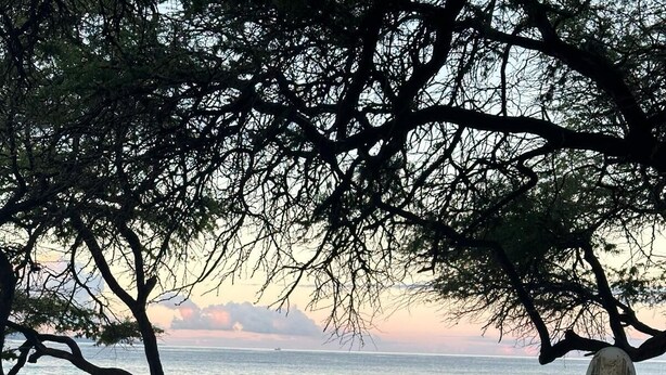 A white SUV parked on a sandy beach with a surfboard leaning against it. - Easy Campers Maui - Paradise Jays Maui Island Breeze (Kihei)