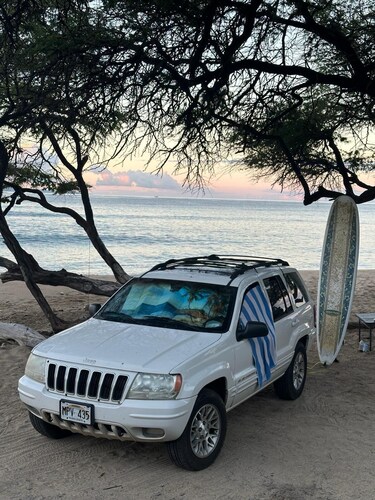 Amazing Maui Paradise Holiday