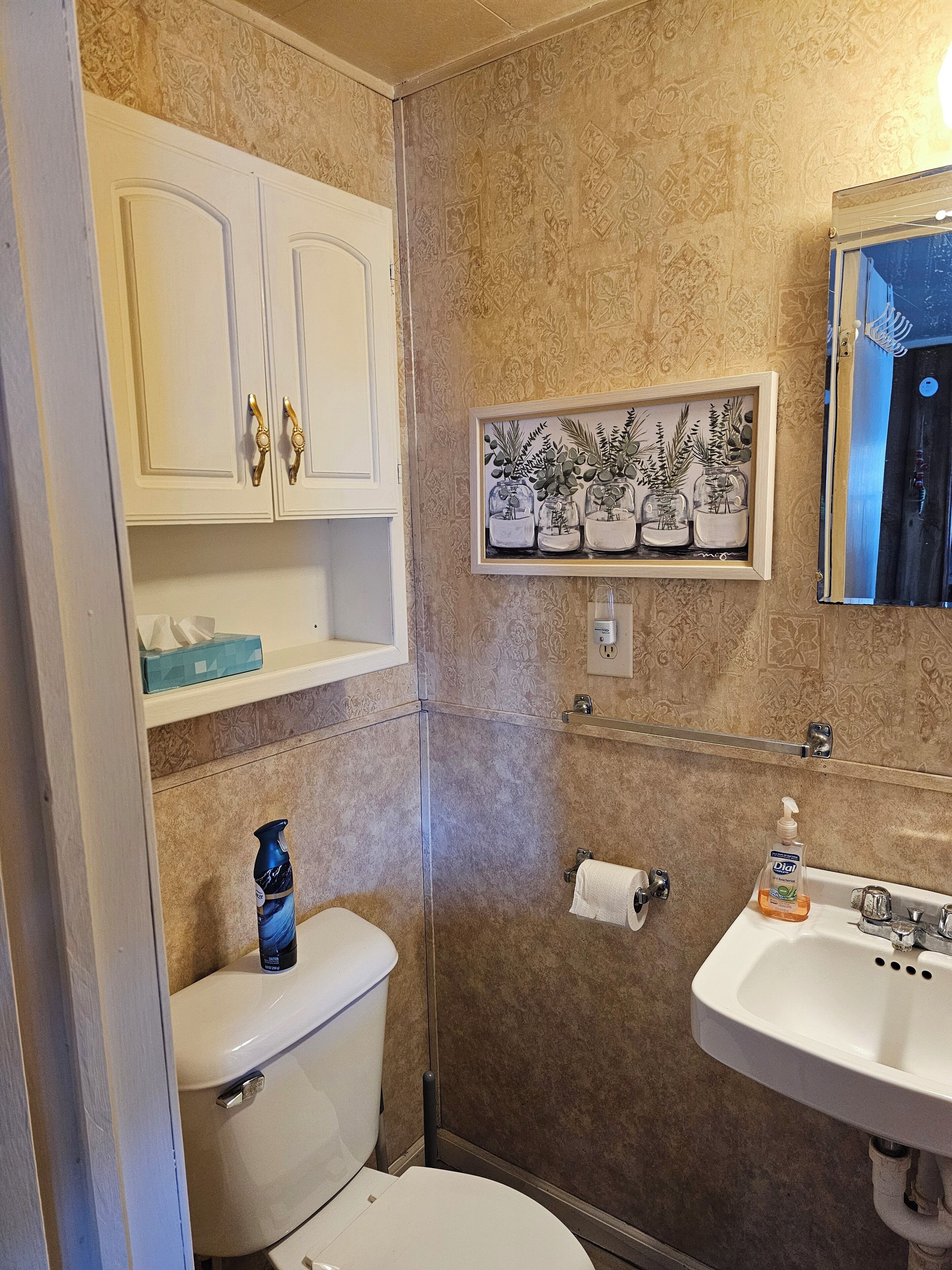 Jabón, champú y papel higiénico