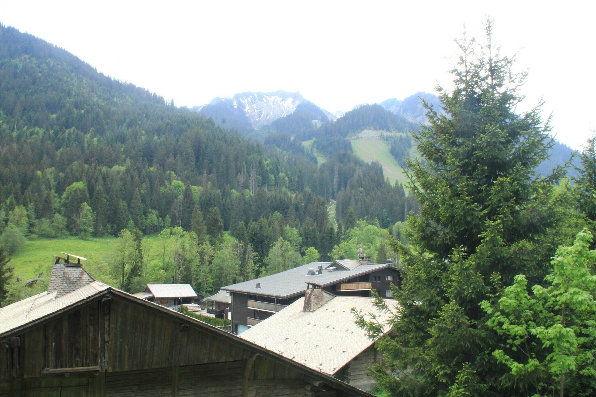 Eine ländliche Holzhütte mit geneigtem Dach, umgeben von dichtem Wald und Bergen im Hintergrund.