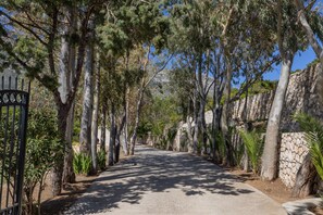 المنطقة المحيطة بالمنشأة