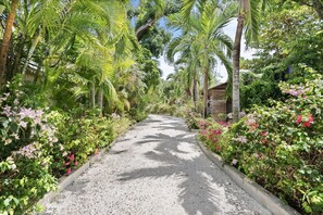 A pathway flanked by lush greenery and flowering plants, leading to a building with a stone facade. - Hospitality Expert - Little Waters Villa Negril (Negril)