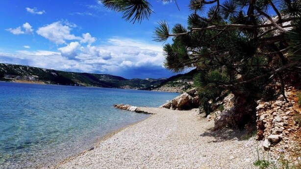 A pebble beach with clear water, surrounded by rocky terrain and pine trees. - Cool 3-bedroom house with AC in charming Praputnjak (Hreljin)