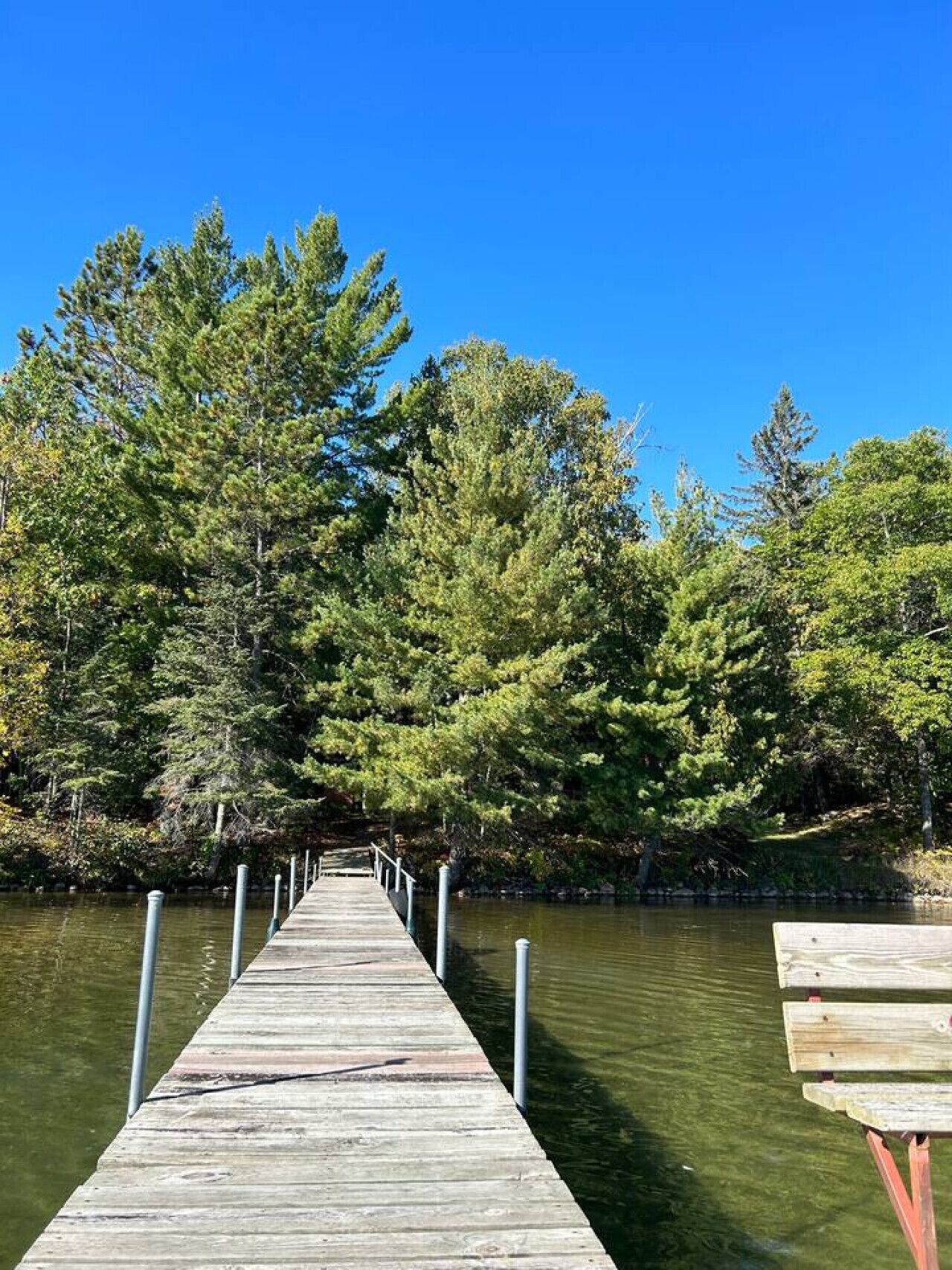 A wooden pier extending into a body of water, surrounded by dense green trees.