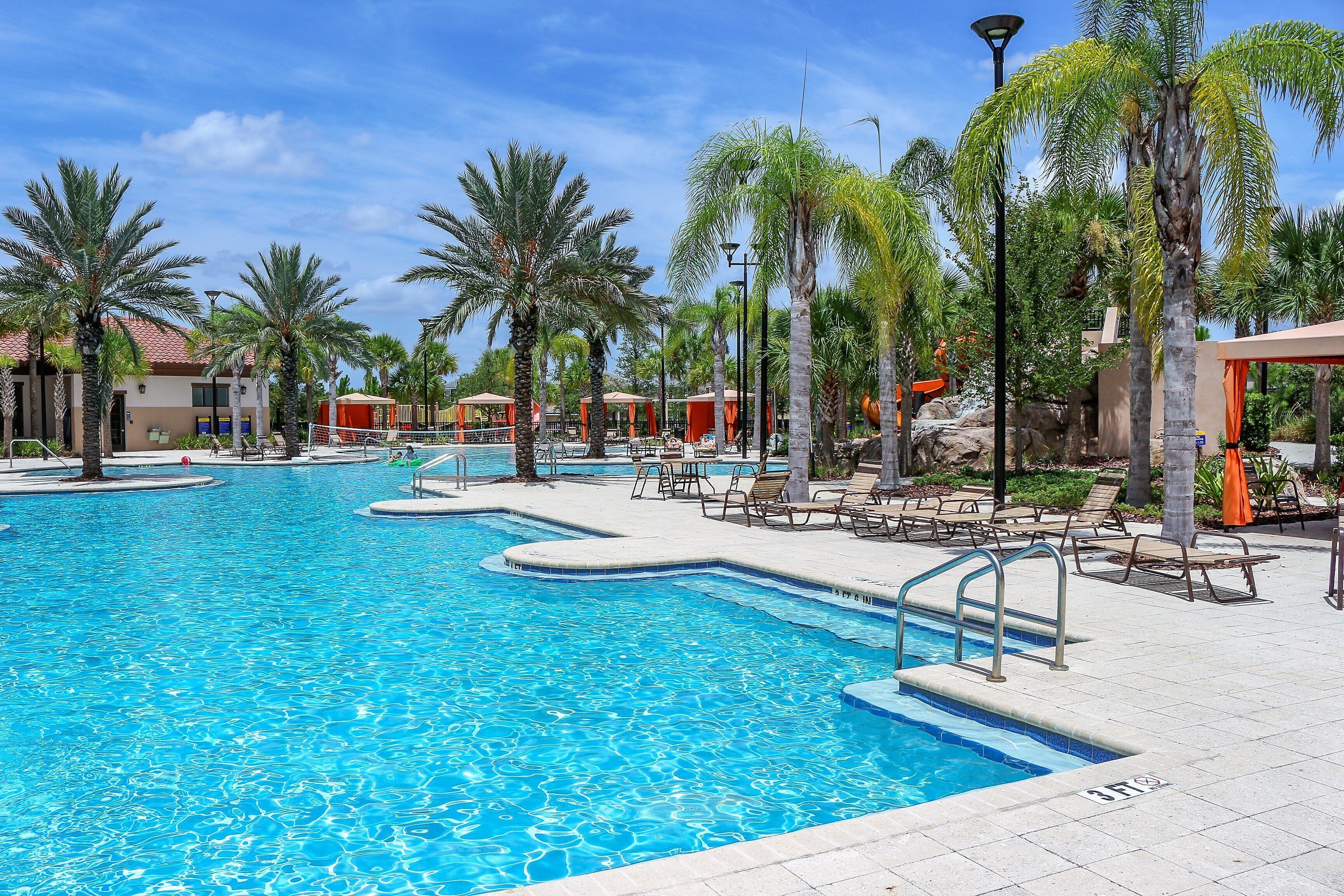 A swimming pool with multiple lanes, surrounded by palm trees and lounge chairs.