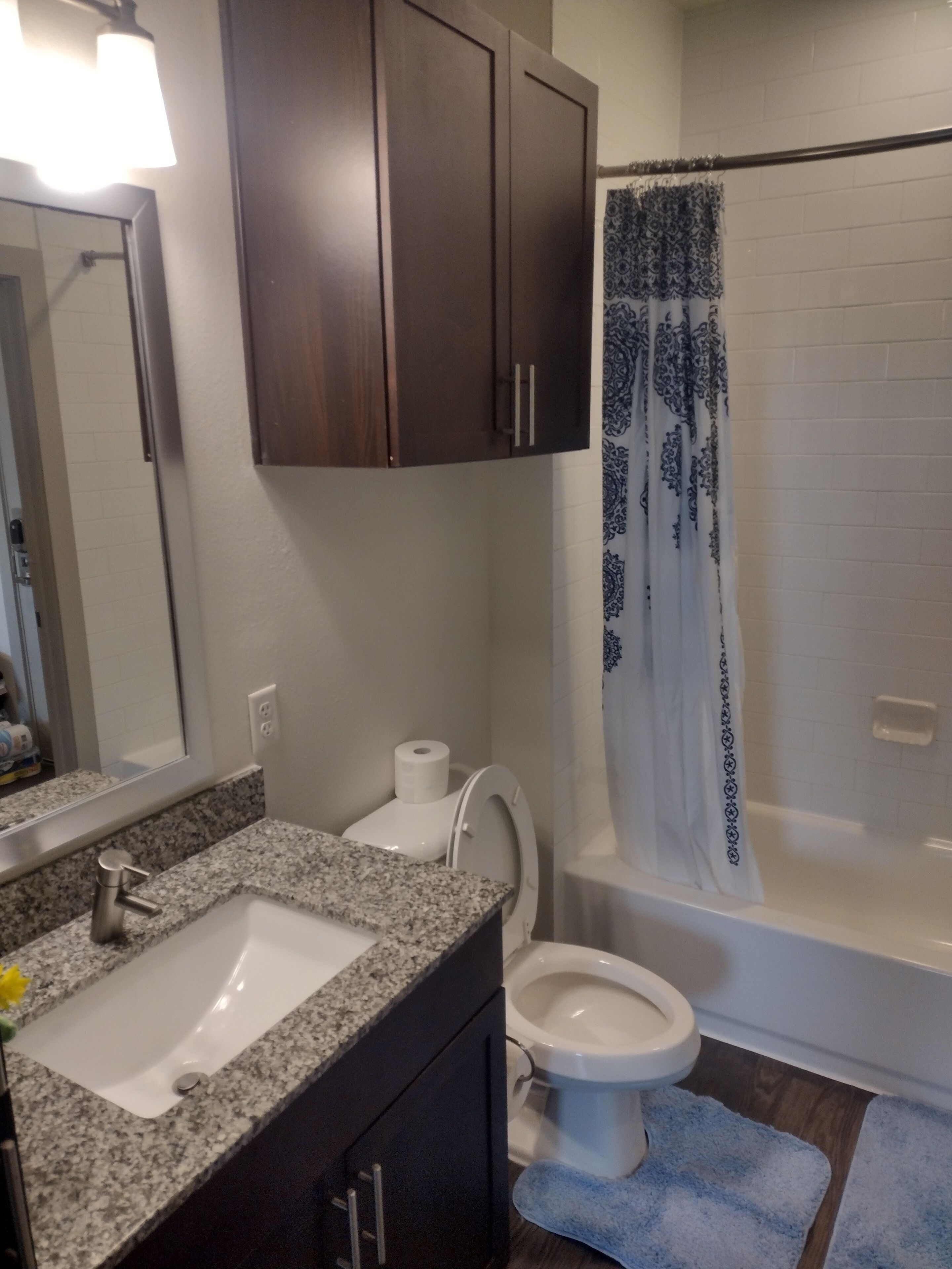 Serviettes fournies, savon, papier toilette