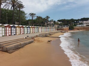 Strand