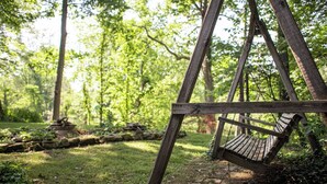 A wooden swing set in a lush, green forest setting. - 1st flr nr Shaker, RTA rail, Cle Clinic & Univ. Ho (Akron)