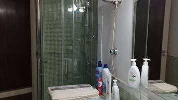 Shower, hair dryer, bidet, towels