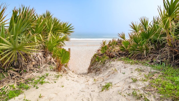 A sandy beach path leading to the ocean, surrounded by dense green vegetation. - Casa Ola Escape (St. Augustine)