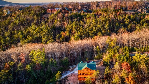 Un chalet doté de plusieurs cabanes, entouré d’une forêt dense et accessible par un chemin de terre.