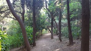 아파트 | 1 개의 침실