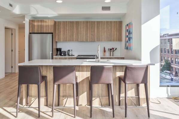 Fridge, microwave, oven, stovetop - Gorgeous Apt with Kitchen (Boston, MA)