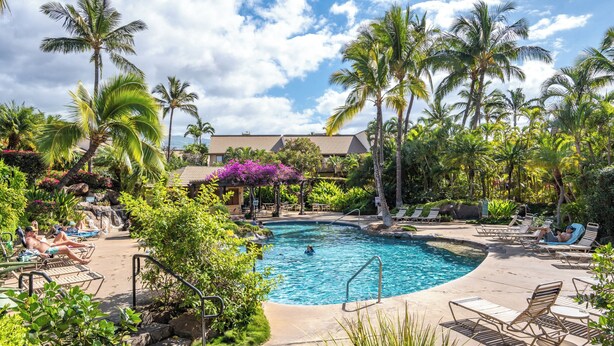 A pool area with lounge chairs, palm trees, and a building in the background. - Maui Kamaole K-207 Recently Remodeled, Views, Pools, Hot Tub, A/C, W/D (Kihei)
