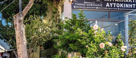 A building with a sign that reads "ANTAMAKT AYTOKINTHI" and a tree with a large trunk and green foliage.