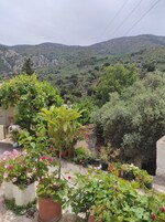 Un jardín en la azotea con diversas macetas de plantas y flores, con vistas a un paisaje montañoso.