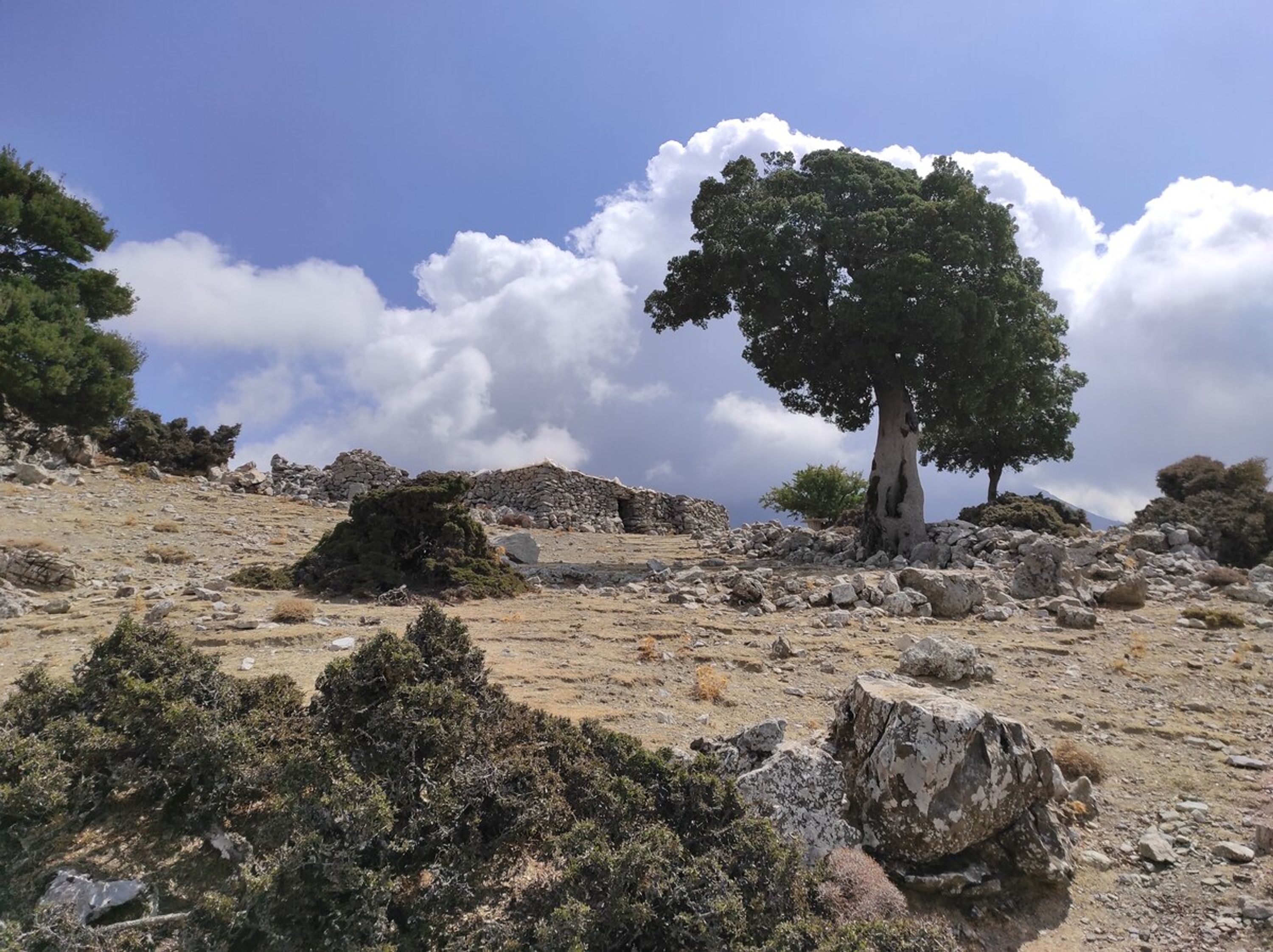 Un paysage rocheux avec un arbre imposant et une construction en pierre.