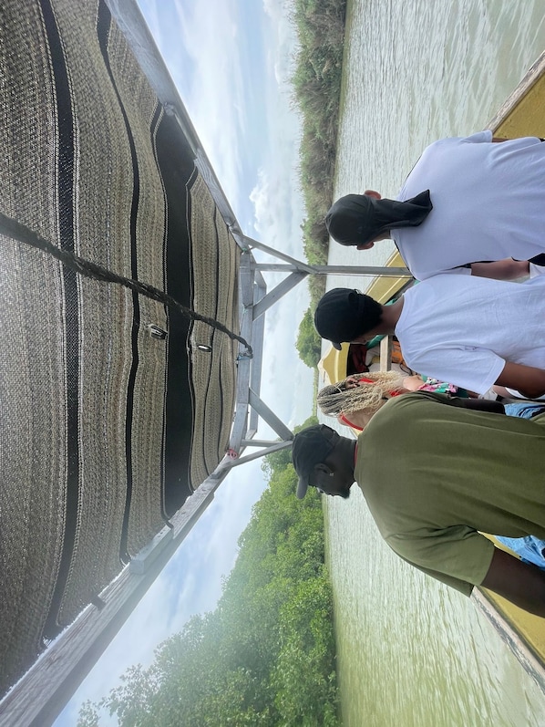 Bungalow, 2 Bedrooms, Accessible, Smoking | Property grounds - Sians Starfruit Villa (Falmouth)