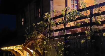 Vineyard cottage Med vinogradi