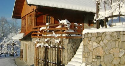Vineyard cottage Med vinogradi