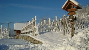 Viñedo cubierto de nieve con un letrero de madera que indica 'Zidanca Med Vinogradi'.