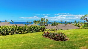 Un resort con un césped cuidado, palmeras y vistas al océano.
