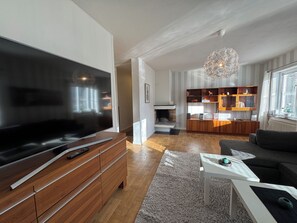 Smart TV, fireplace, books