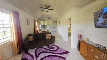 Apartamento, 1 quarto, sacada | Sala de estar | Livros