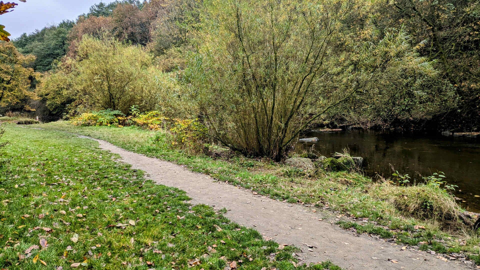 Un camino de grava al lado de un río, rodeado de árboles y vegetación.