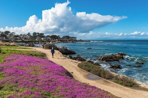 Un sentier côtier bordé de fleurs violettes, une personne qui marche et un ciel bleu dégagé.