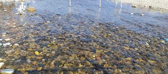 Shada Pathor Hotel & Resort Sylhet 