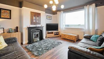 TV, fireplace, offices