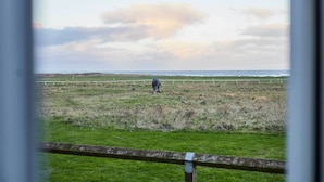 A person in a field with a fence in the foreground.