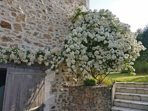 Ein Steinhaus mit einem weißen Blütenbaum davor.