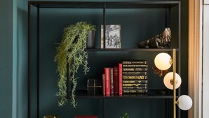 A bookshelf with books, a framed picture, a small statue, and a hanging plant. - Host & Stay | The Falkner Quarters I and II (Merseyside)