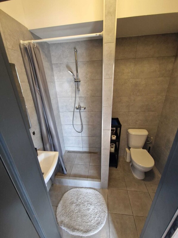 Suite familiare | Bagno | Doccia, set di cortesia gratuito, asciugacapelli, asciugamani