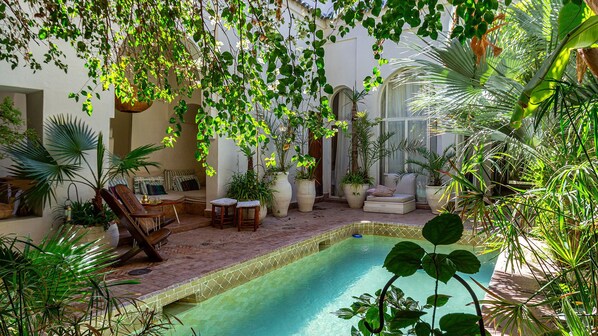 Pool - Dar Z5, Medina, swimming pool, rooftop, staff (Marrakech)