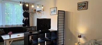 Spacious studio in Hedsjö