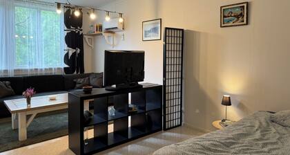 Spacious studio in Hedsjö