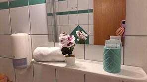 Miscellaneous - Nice room by the Lake (Mariahof)