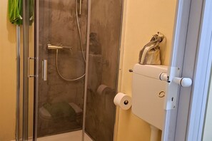 Regadera, secadora de cabello, bidet, shampoo 