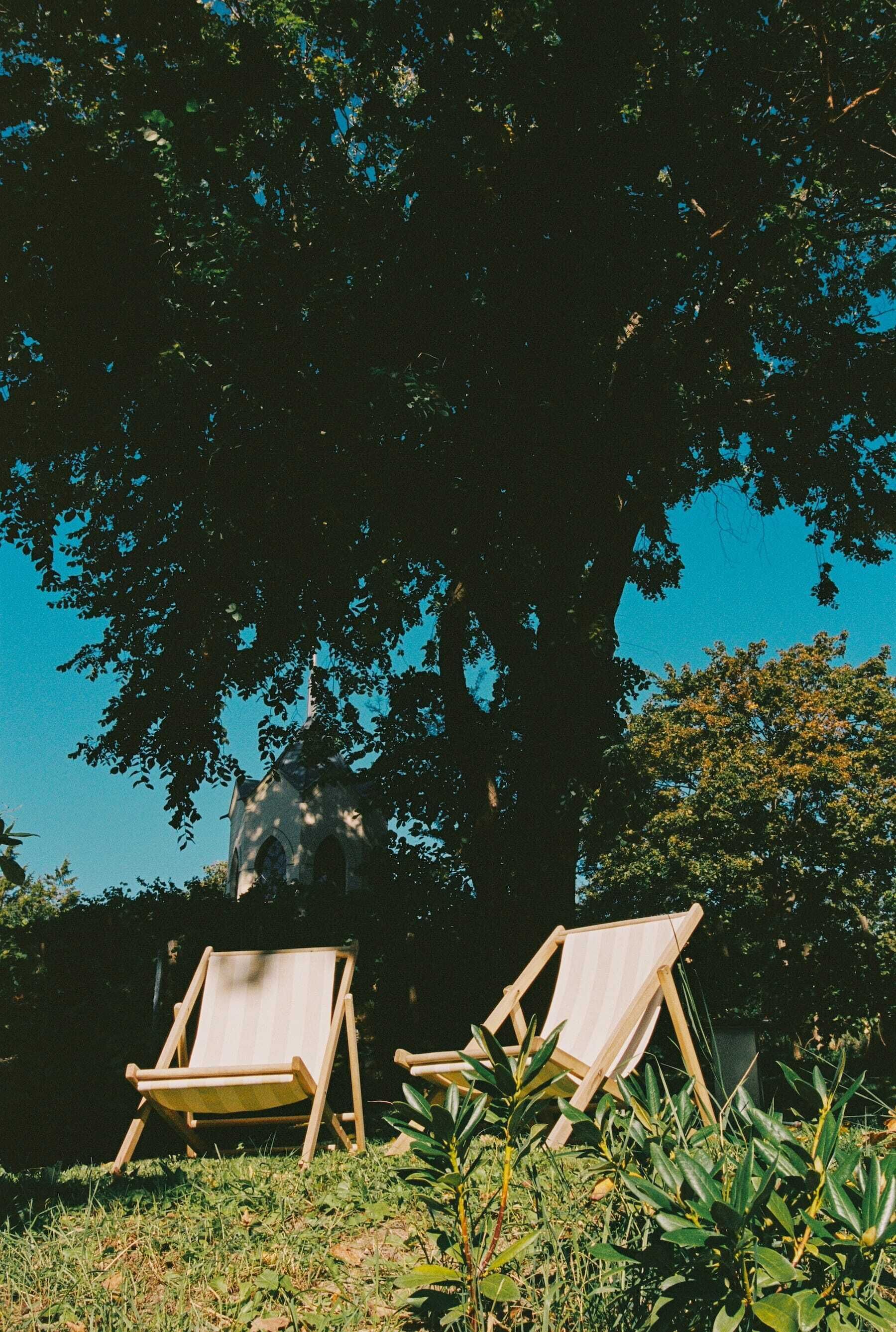 Two wooden lounge chairs under a large tree in a garden setting.