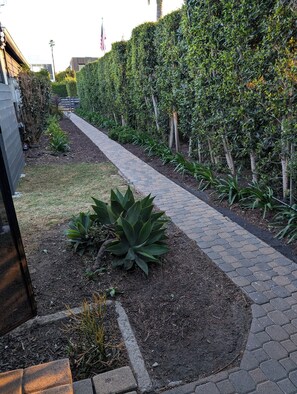 Property grounds - Venice beach home with huge fenced yard, hot tub, safe, quiet, parking
(Los Angeles)