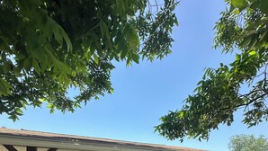 Un patio cubierto con suelo de piedra, mobiliario exterior y plantas en macetas.