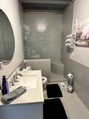 Douche, séchoir à cheveux, serviettes fournies, savon