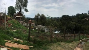 Un bâtiment moderne doté d’une grande entrée en verre, d’un balcon agrémenté de plantes en pot et offrant une vue sur un paysage vallonné.
