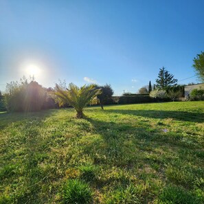 Àrea exterior de l'allotjament